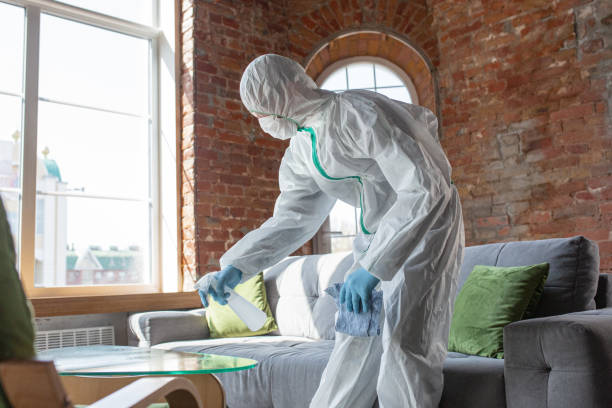 Environmental Consulting for Mold Prevention in Allegan, MI